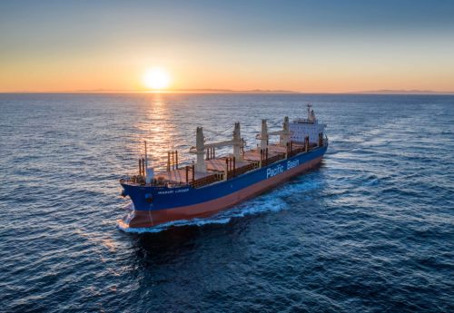 Pacific Basin Purchases Six Second-hand Vessels as Part of its Fleet-Renewal Strategy by Shipping Telegraph