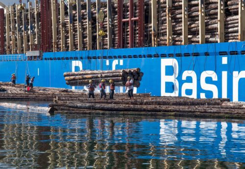 Pacific Basin Shipping is Set to Kickstart its Growth Fleet Strategy after Strong Reported Profits by Shipping Telegraph