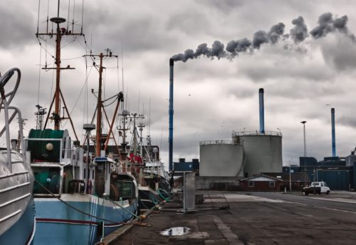 Fishing boats in a Danish harbor, Thyboron