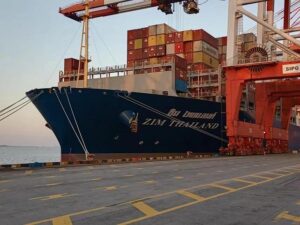 MSC and ZIM seal new operational collaboration deal on multiple trades