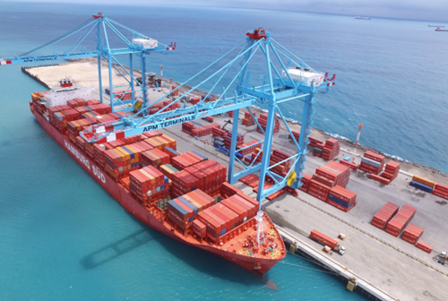 APM Terminals and DP World call ports to electrify box handling equipment