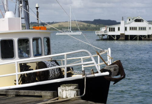 New Zealand: Man stranded at sea rescued after using watch to reflect sun