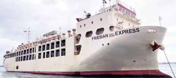 Vroon buys livestock carrier ‘Friesian Express’ from Tsuneishi