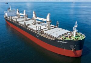 Cetus Maritime and Nachipa merge into new 65-ship giant