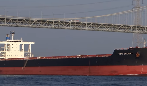 Jinhui buys capesize for $31m in latest fleet renewal move