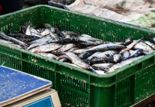 Alaska Seafood Shippers to Pay $9.5M to Settle Jones Act Case