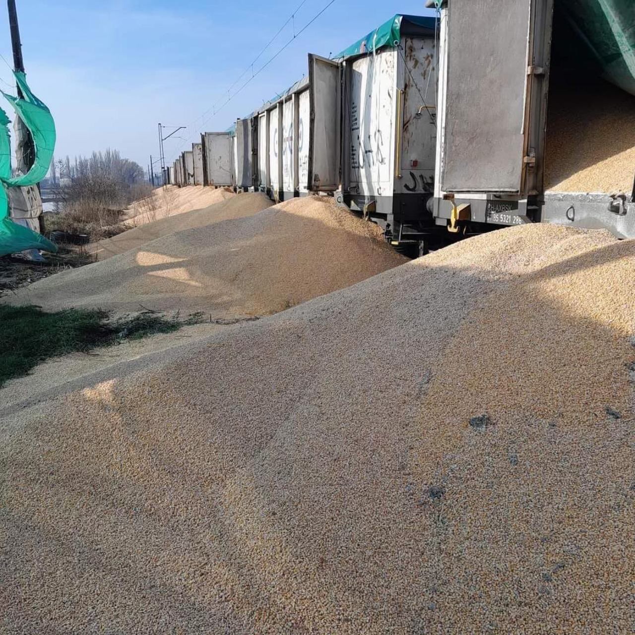 Tensions grow as 160 tons of Ukrainian grain destroyed in Poland