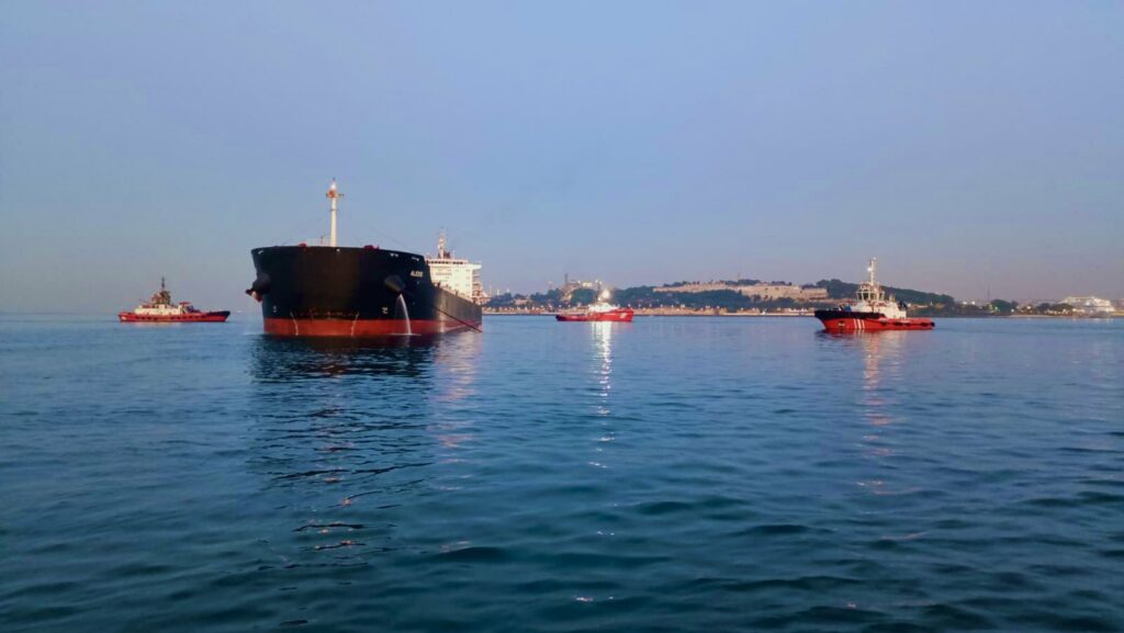 Bulker sailing from Ukraine to Egypt runs aground, Bosphorus