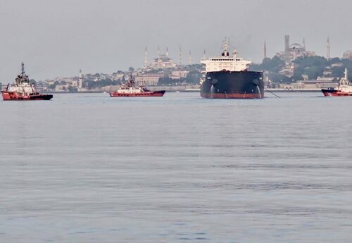 Bulker sailing from Ukraine to Egypt runs aground, Bosphorus