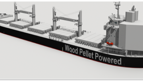 Japanese partners to develop world’s first biomass-fuelled ship