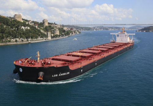 Diana Shipping locks newcastlemax charter extention with NYK
