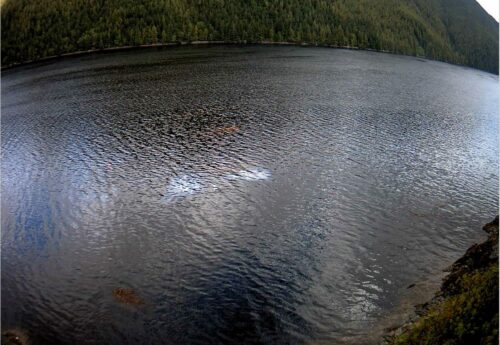 Oil removal starts from historic shipwreck in British Columbia’s Grenville Channel