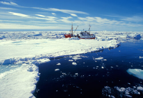 Ship in arctic sea at the eastern Greenland near town Ammassalik