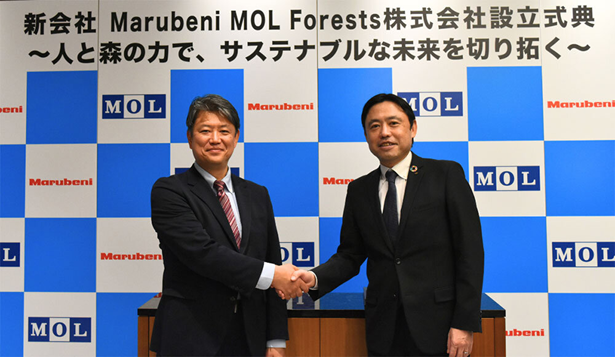 MOL, Marubeni set up JV in nature-based carbon removal credit business