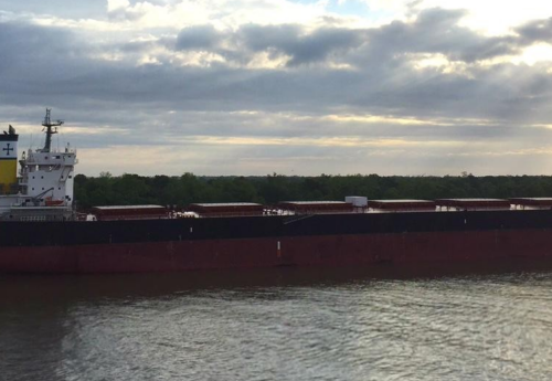 Diana Shipping locks charter deal for post-panamax with Oldendorff Carriers