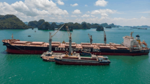 Greek owner locks in charter for panamax and extends capesize fixture