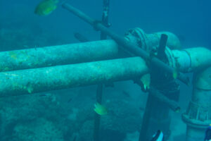 Underwater pipes at seabed