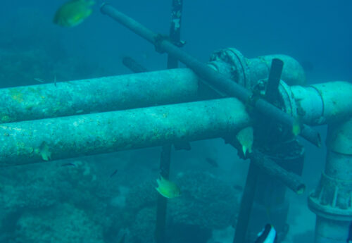 Underwater pipes at seabed