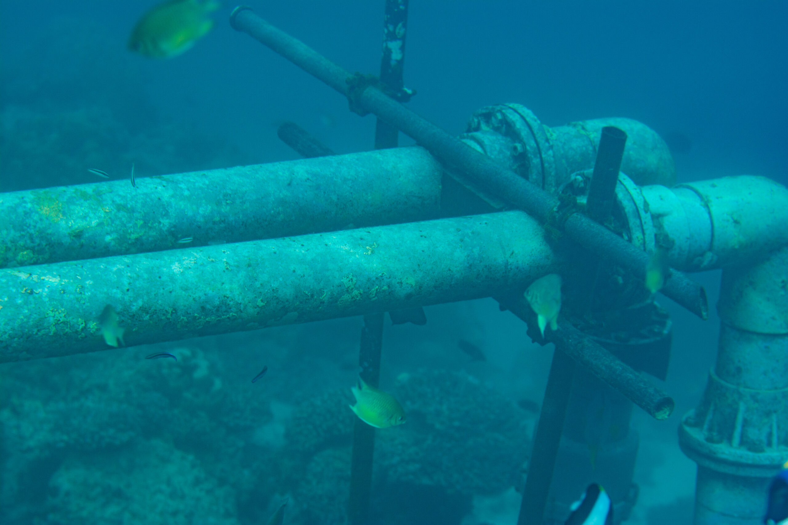 Underwater pipes at seabed