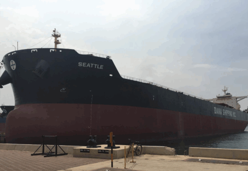 Diana finds new buyer for ultramax and secures charter for capesize