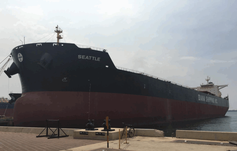 Diana finds new buyer for ultramax and secures charter for capesize