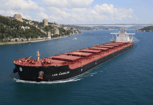 Diana Shipping locks charter deals for bulkers with MOL and Bunge