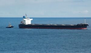 Greek Grid Shipping expands into larger bulkers with kamsarmax buy
