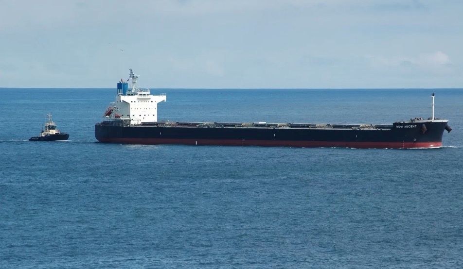 Greek Grid Shipping expands into larger bulkers with kamsarmax buy