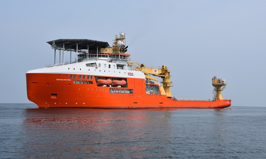 CSV Normand Sentinel