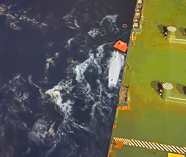 Zodiac Maritime tanker rescues Belgium rower in Atlantic Ocean
