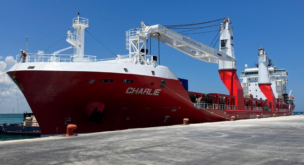German shipowner buys multipurpose pair and charters for 7-years