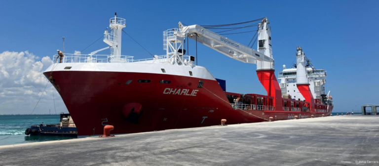 German shipowner buys multipurpose pair and charters for 7-years