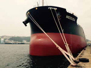 Diana Shipping locks charter deal for kamsarmax with Aquavita