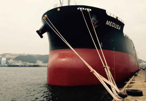 Diana Shipping locks charter deal for kamsarmax with Aquavita