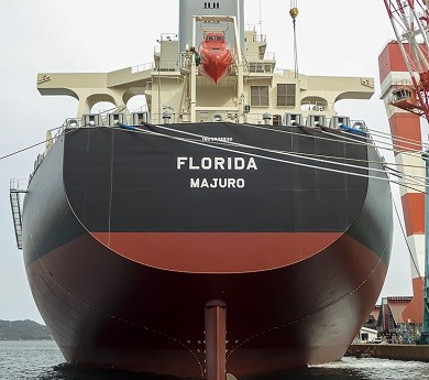 Diana Shipping clinches charter deal for capesize with NYK