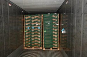 Tonnes of cocaine worth £232m found in banana shipment at UK port