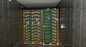 Tonnes of cocaine worth £232m found in banana shipment at UK port