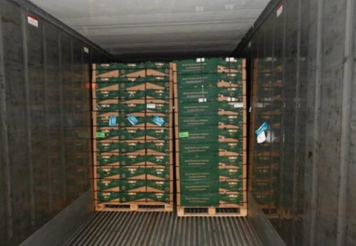 Tonnes of cocaine worth £232m found in banana shipment at UK port