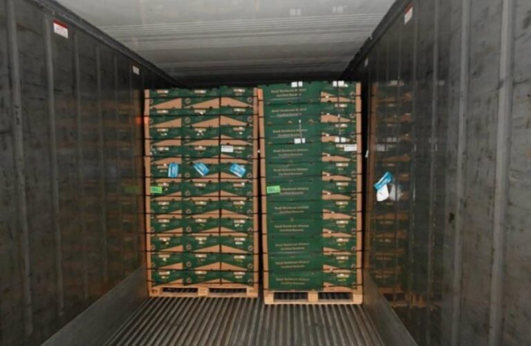 Tonnes of cocaine worth £232m found in banana shipment at UK port