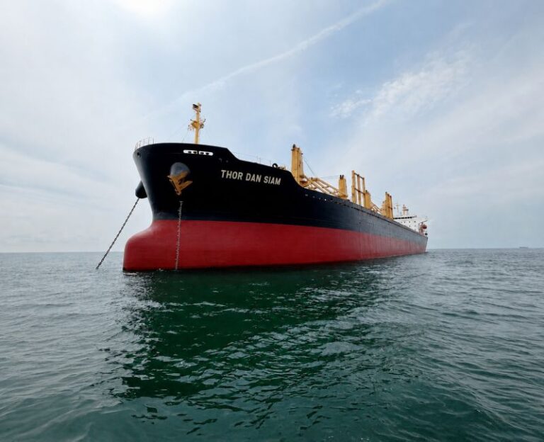Thoresen Shipping Singapore buys a handysize dry bulk vessel